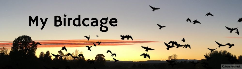 My Birdcage
